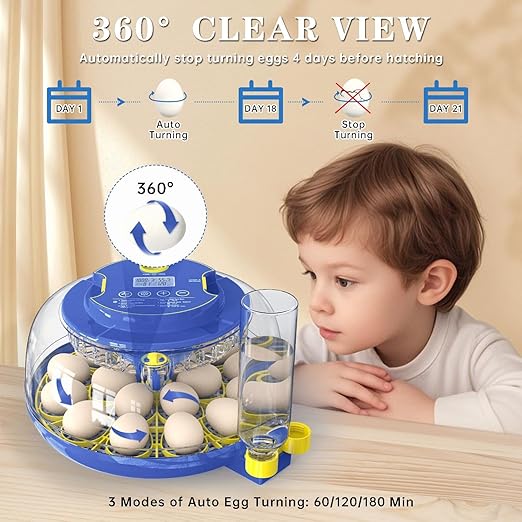 Incubators for Hatching Eggs, 18-Egg Incubator - Image 2