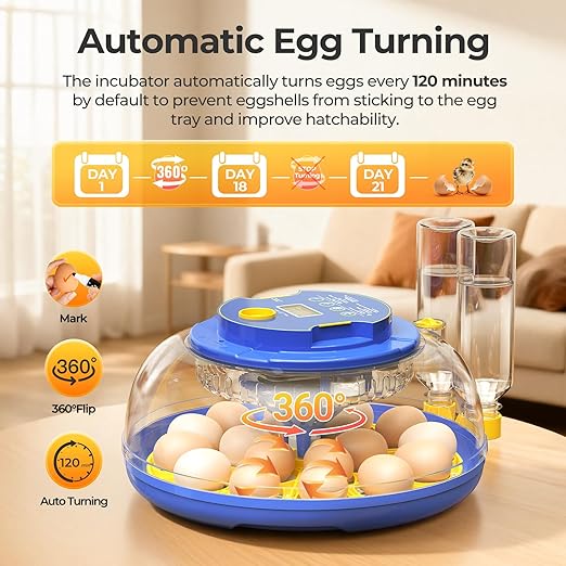 18 Egg Incubators for Hatching Eggs, 360° View - Image 5