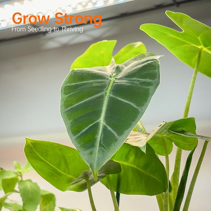 Bstrip Plant Shelf with Grow Light with Timer, Metal Plant Stand with - Image 2