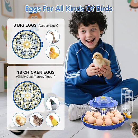 Egg incubators for Hatching Eggs, Automatic Egg Turning 12-24 Poultry Incubator - Image 7