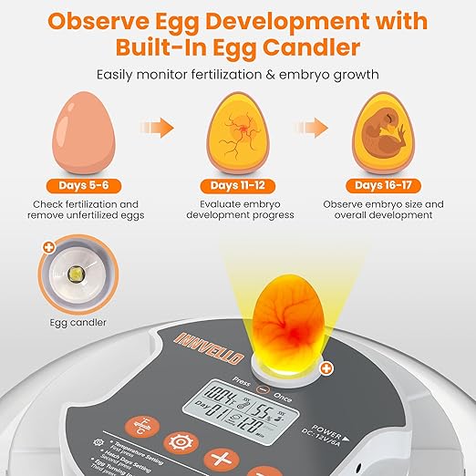 18 Egg Automatic Egg Incubator for Hatching Eggs, Chicken Egg Incubator - Image 5