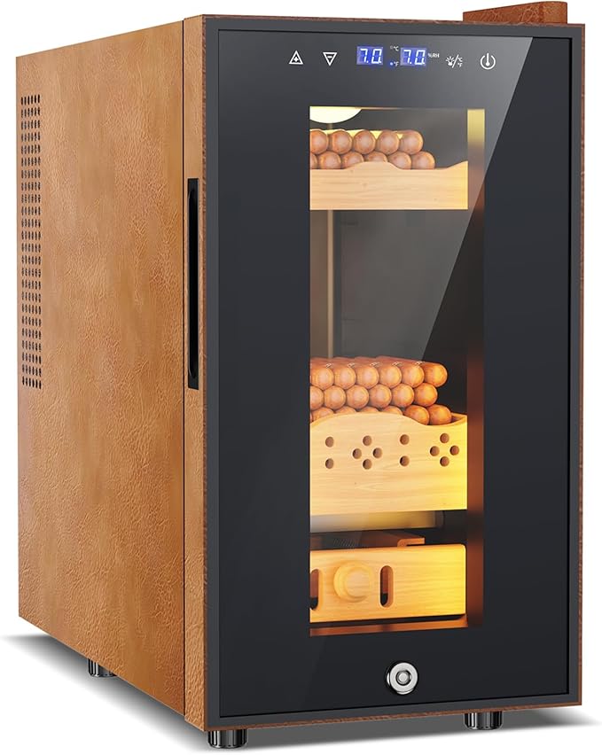 Electric Cooler Cabinet 25L by FoMup