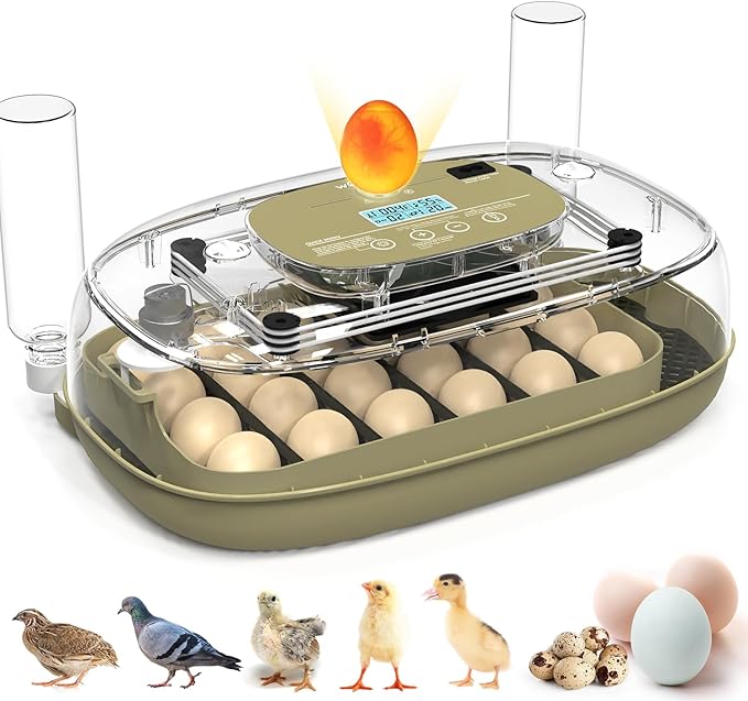 24 Egg Incubator with Automatic Turning, Temperature and Humidity Control by howooiua