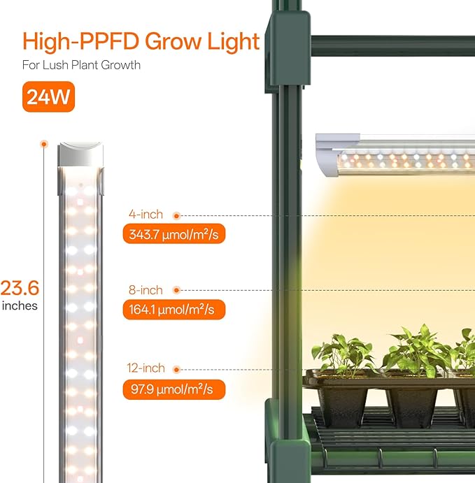 Bstrip Indoor Greenhouse with Grow Light, 4-Tier Mini Green House, Zippered PVC - Image 6