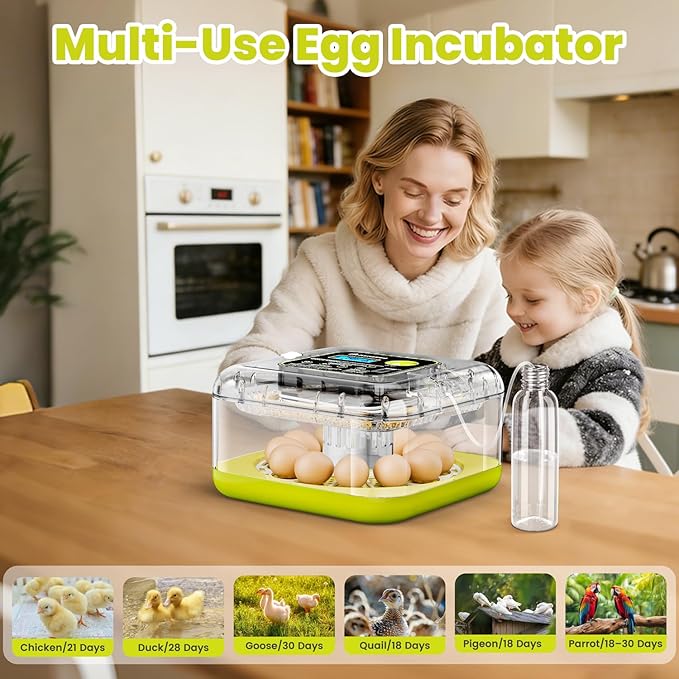 Egg Incubators for Hatching Eggs, 12 Egg Incubator - Image 7
