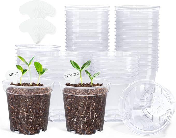 homenote Clear Nursery Pots for Plants, 3 Inch Plant Pot for Planting Plastic by HOMENOTE