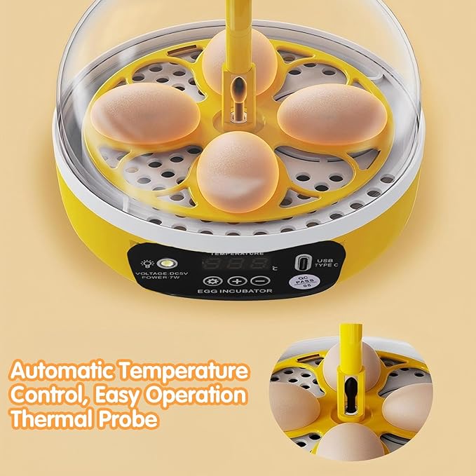 4 Eggs Mini Incubator with Transparent Lid, 7W Automatic Temperature Humidity - Image 9
