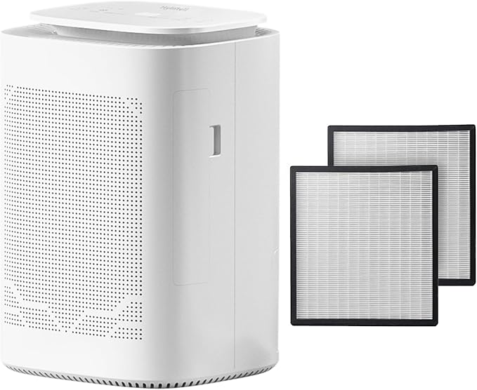 Dehumidifier and Air Purifier Combo HEPA H13 Filter and Negative Air Ion by Unknown