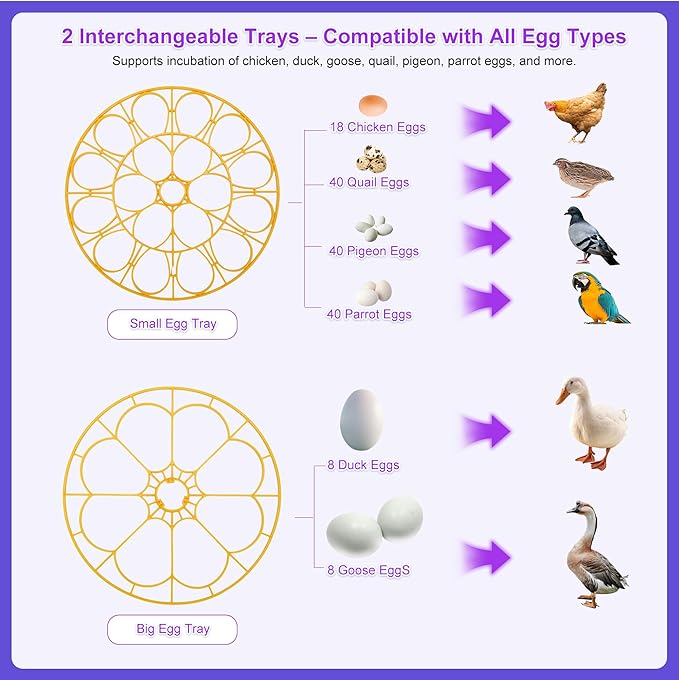 18 Egg Incubator for Hatching Eggs – - Image 6