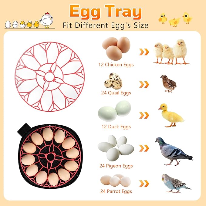 12-Egg Incubator, Automatic Egg Turning Function, Humidity Control, External - Image 7