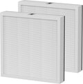 2 Pack AH300 True HEPA Air Filter Replacement Compatible by Ganteny