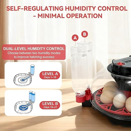 2nd Gen - 12 Egg Automatic Incubator, Two-Stage Humidity - Image 2