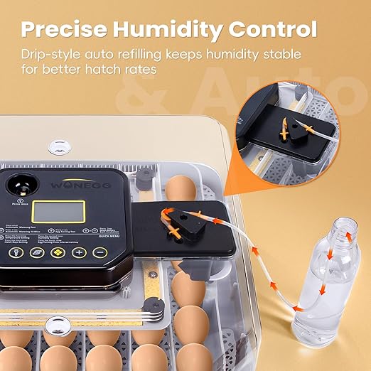 48 Incubators for Hatching Eggs, Egg Incubator - Image 4