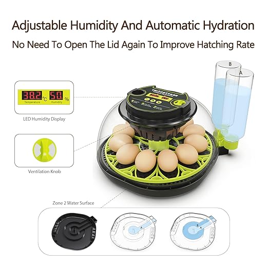 Incubators for Hatching Eggs 12 Egg Incubator - Image 4