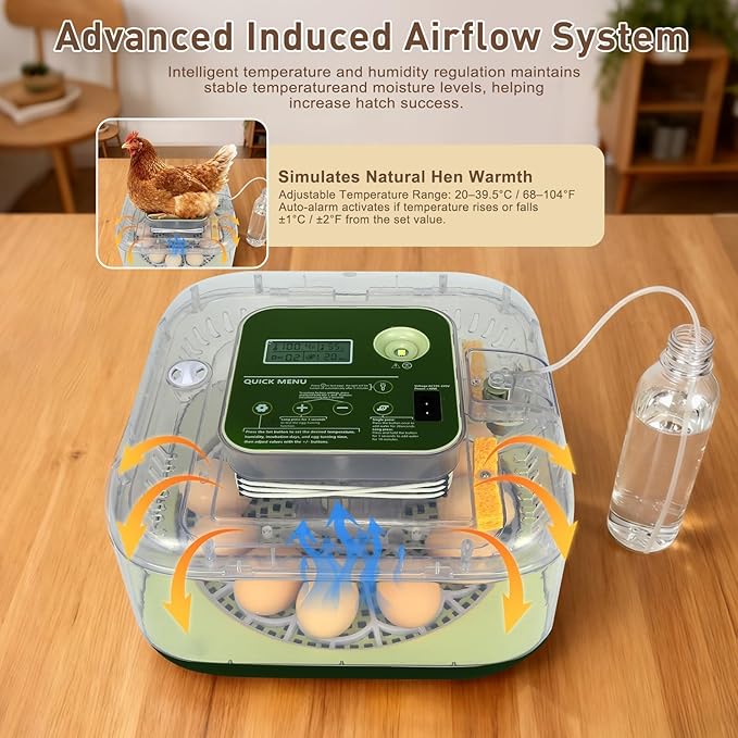 2026 New Auto 12-Egg Incubator for Beginners, Automated Incubation, - Image 4