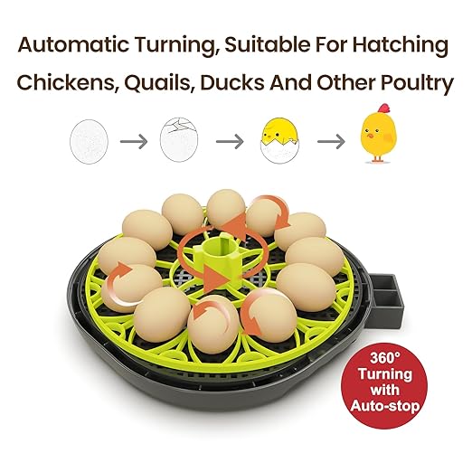 Incubators for Hatching Eggs 12 Egg Incubator - Image 3
