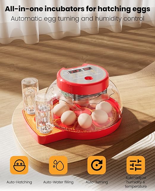 8 Chinken Incubators for Hatching Eggs - Image 2