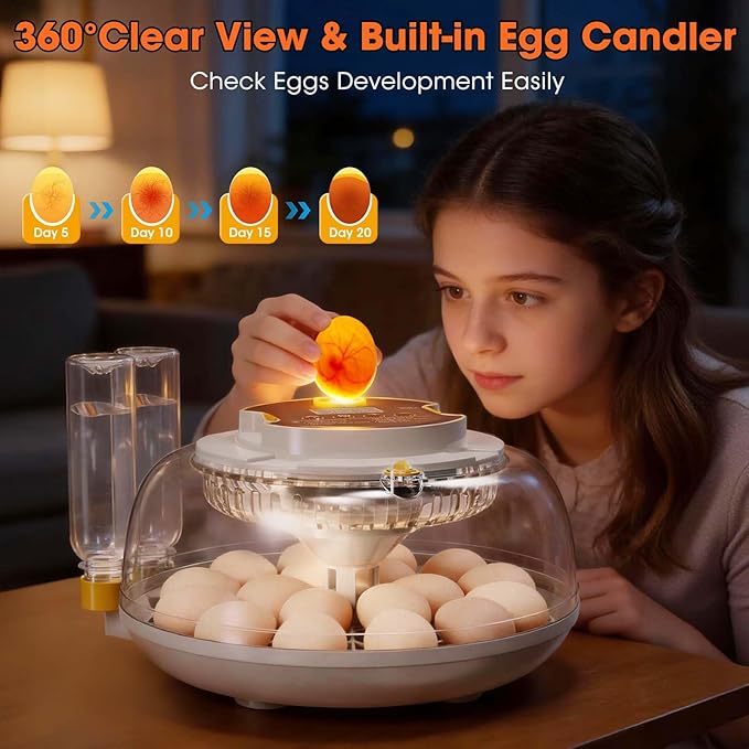 18 Egg Incubator with Automatic Egg Turning & Humidity Control, Built-in Egg - Image 5