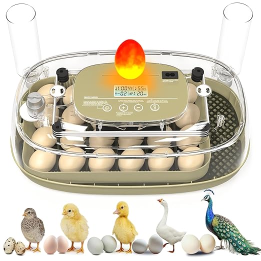 Incubators for Hatching Eggs, 24 Eggs Capacity by Unknown