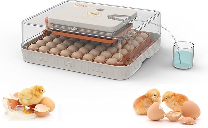 Egg Incubator for Hatching Eggs, Intelligent 56 Eggs Incubator by Jinmuxilll