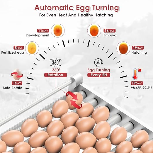 Egg Incubator with Automatic Egg Turning and Humidity Control 400 pcs, HHPPL - Image 5