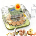 XOTTI Incubator for Hatching Egg, 12 Egg Incubators by XOTTI