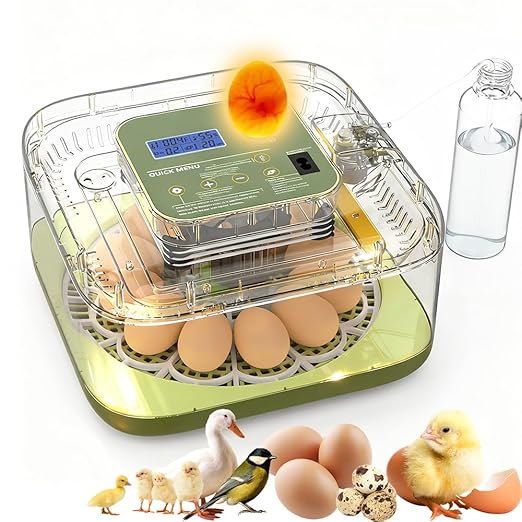 XOTTI Incubator for Hatching Egg, 12 Egg Incubators by XOTTI