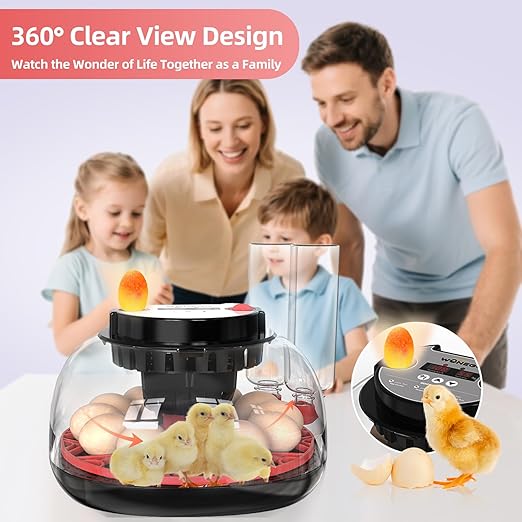 12 Egg Incubator for Hatching Chicken, Quail Eggs – 360° Visible Lid, Automatic - Image 7