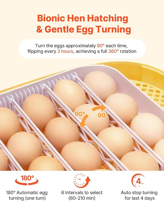 VEVOR 24 Egg Incubator, Automatic Egg Turner - Image 4
