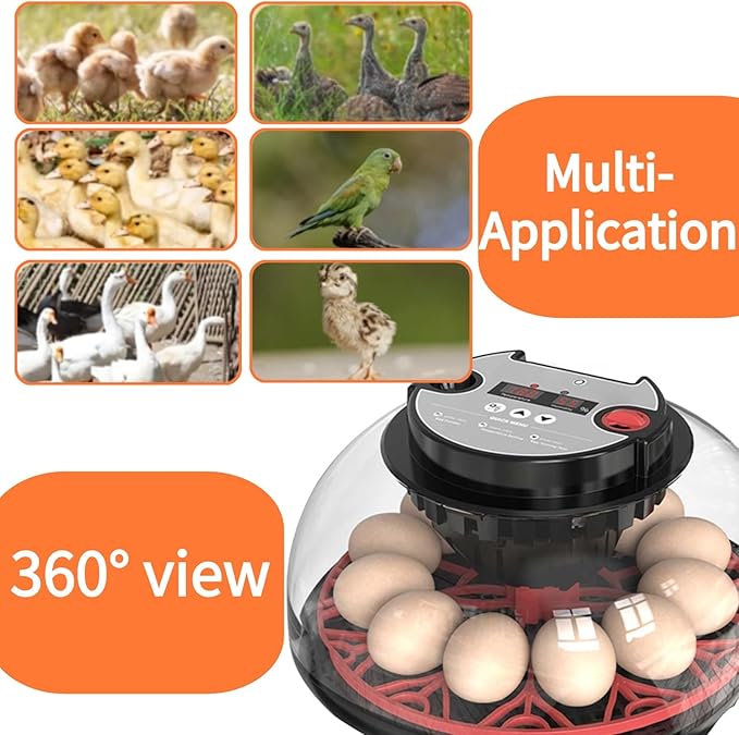 Egg Incubators for Hatching Eggs, Incubator for 12 Eggs Automatic Turning - Image 7
