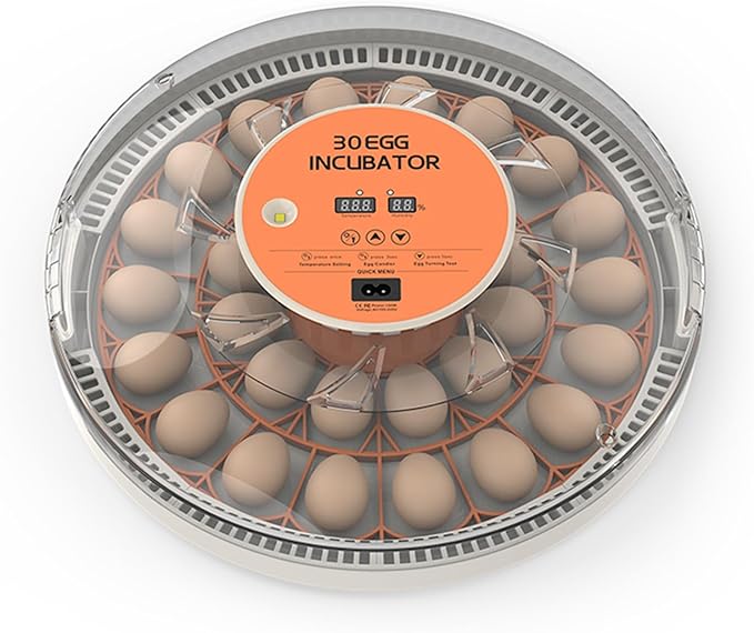 30 Eggs Incubator with Automatic Egg Turning with External Injection Water by Tissting