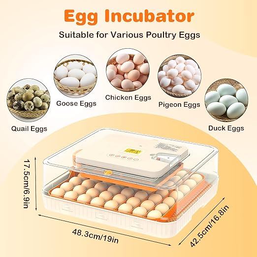56 Egg Incubator for Hatching Eggs, Egg Incubators - Image 6