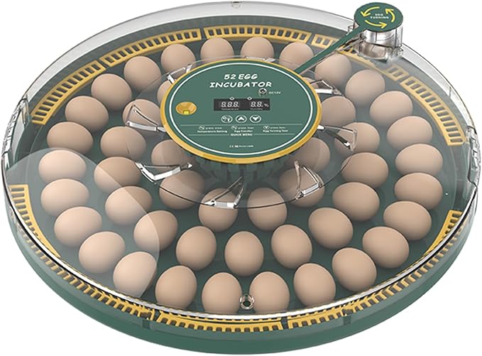 Automatic Egg Incubator for 52 Eggs by Tissting