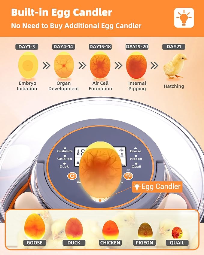 Incubators for Hatching Eggs, 12 Chicken Incubator - Image 6