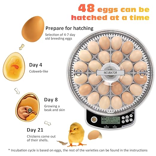 48 Egg Incubator with Automatic Egg Turning and Humidity Control, Intelligent - Image 7