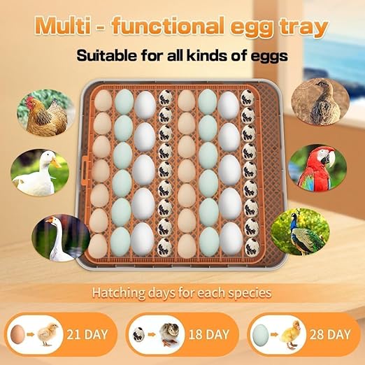 4th Gen – 56 Egg Fullly Automatic Incubator, 2026 Upgraded Design, Intelligent - Image 6