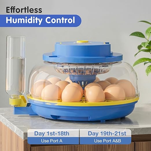 Chicken Egg Incubators for Hatching Eggs, 18 Egg Incubator - Image 3