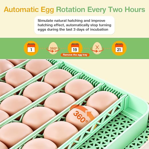 Sailnovo 48 Egg Incubator for Hatching Eggs - Image 5