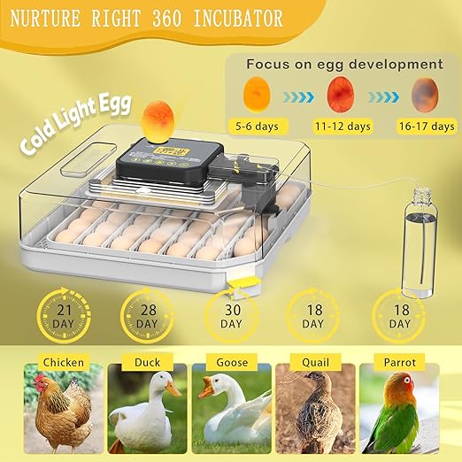 Incubators for Hatching Eggs 48 Egg Incubator - Image 4