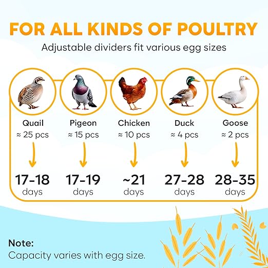 M12 Incubators for Hatching Eggs - Image 6