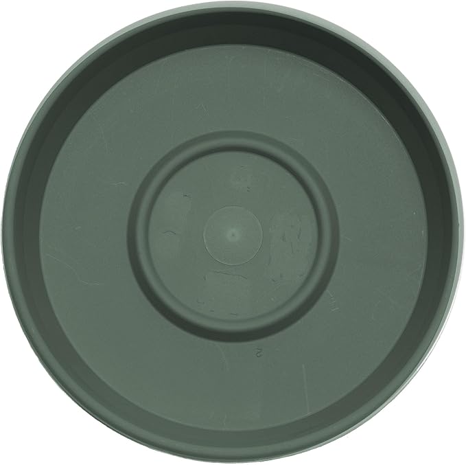 Bloem Terra Resin Saucer Tray: 4.75" Bottom Width - Image 4