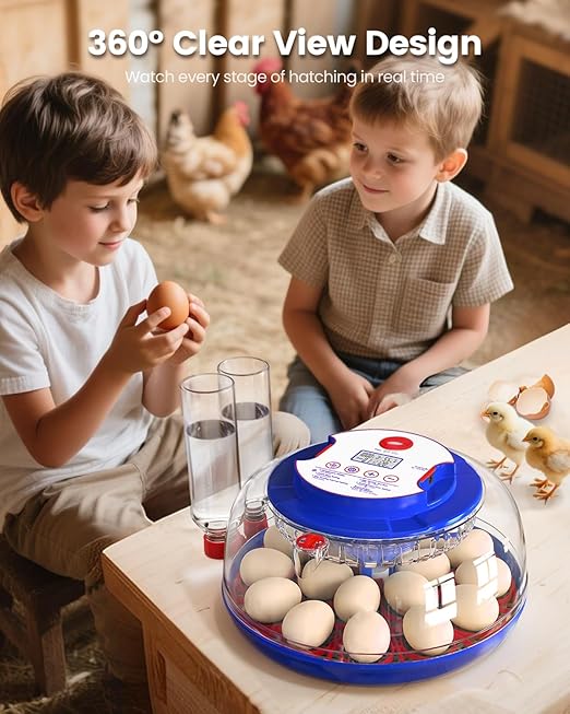 Incubators for Hatching Eggs, 18 Eggs Incubators - Image 9