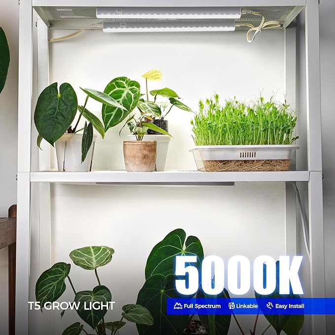 Barrina T5 Grow Lights for Indoor Plants, 5000K Full Spectrum, 1FT LED Growing - Image 2