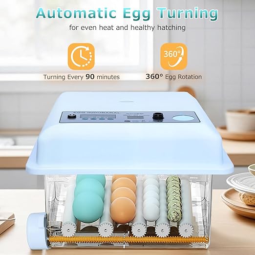 Incubators for Hatching Eggs 16 Egg Automatic Egg Incubator - Image 6