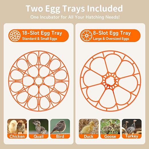 18 Egg Incubator, 2 Egg Trays, Automatic Egg Turning - Image 3