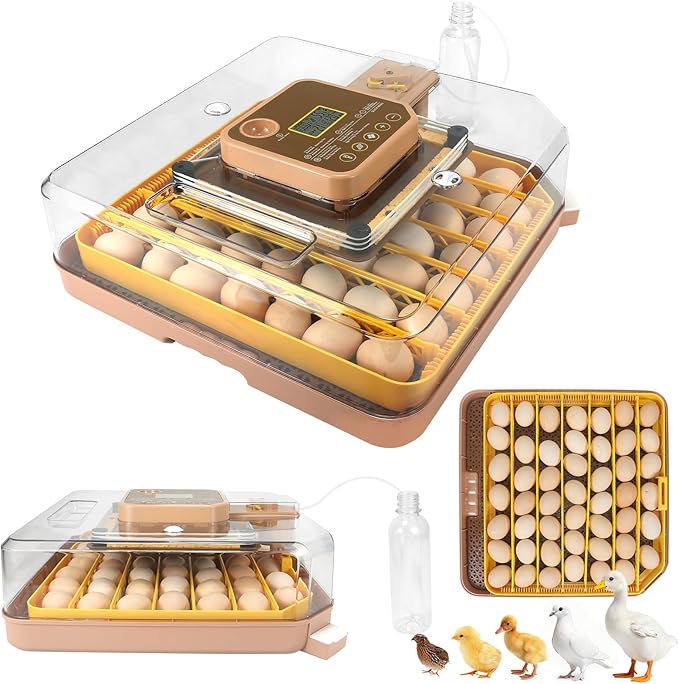 Automatic 48-Egg Incubator for Breeders, Sensor-Based Precise Humidity & Temp by ZEMIROCHARGE