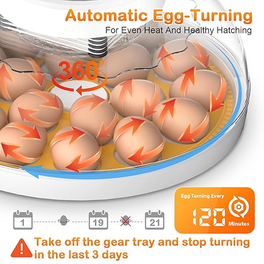 18 Egg Incubator with Automatic Egg Turning and Humidity Control, Incubators - Image 2