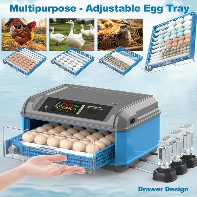 Upgraded Egg Incubator for Hatching Eggs - Image 4