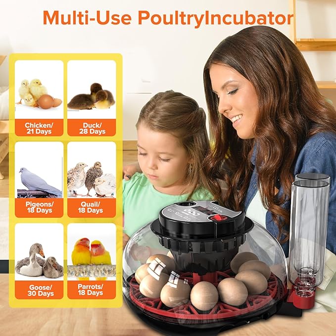 Incubator with Automatic Egg Turning and Humidity Control, Incubators - Image 6