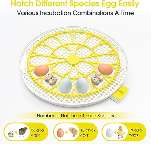 Sailnovo 18 Egg Incubator for Hatching Eggs - Image 7